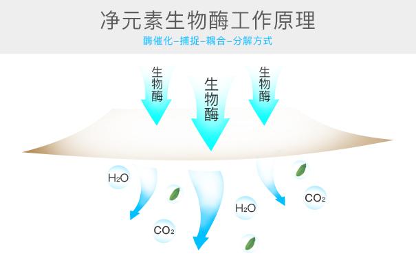 光觸媒、生物酶、空氣凈化器，哪家除甲醛公司效果好？